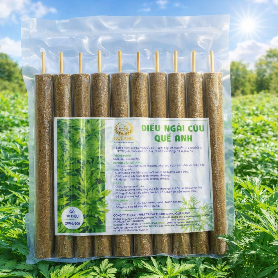 Điếu ngải cứu Quế Anh